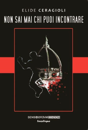 Non sai mai chi puoi incontrare di Elide Ceragioli