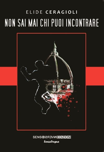 Non sai mai chi puoi incontrare di Elide Ceragioli