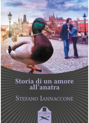 Storie di un amore all'anatra di Stefano Iannaccone