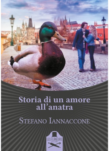Storie di un amore all'anatra di Stefano Iannaccone