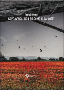 Sopravvissi non so come alla notte di Fabrizia Amaini