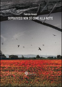 Sopravvissi non so come alla notte di Fabrizia Amaini
