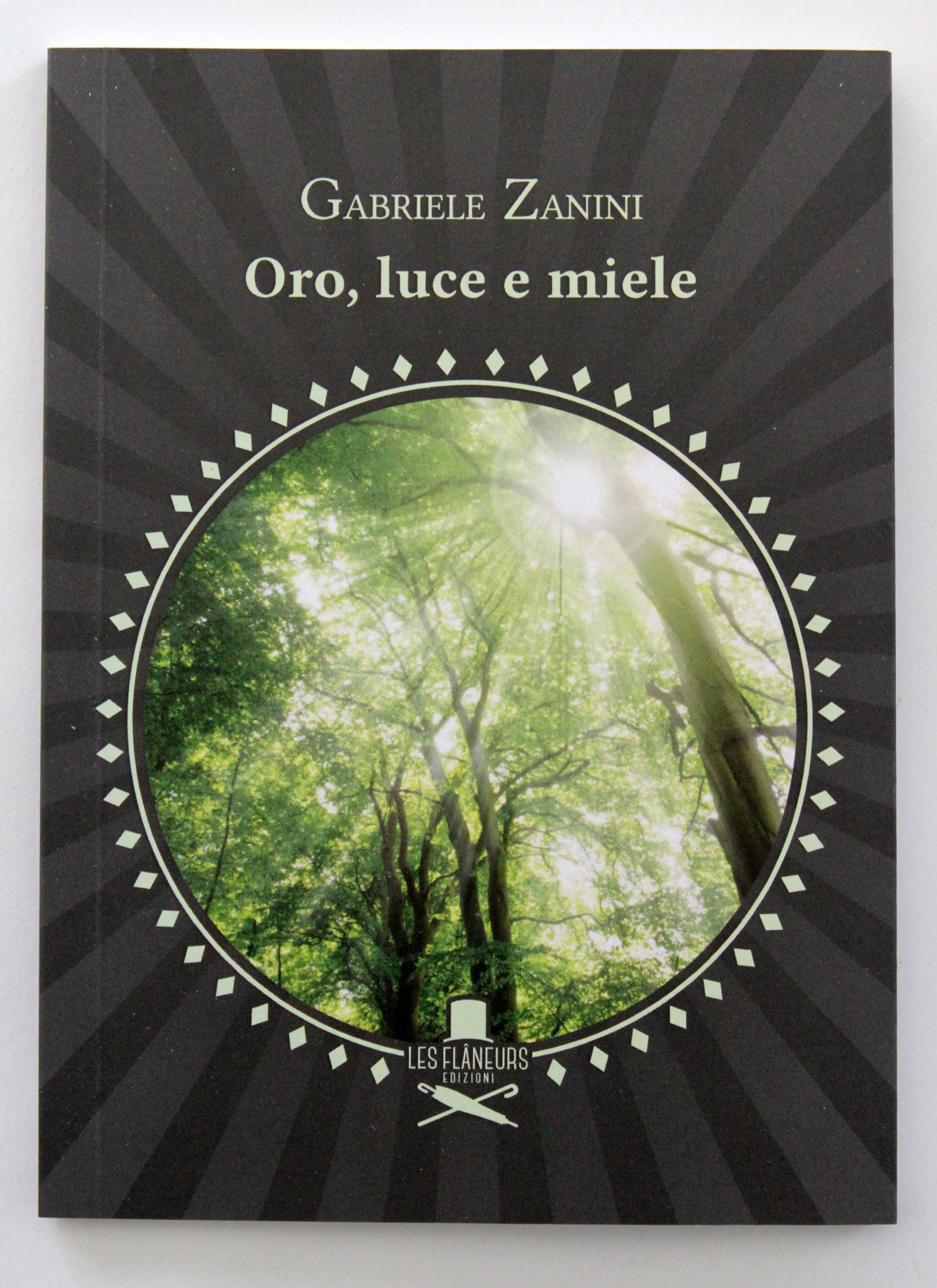 "Oro, luce e miele" di Gabriele Zanini