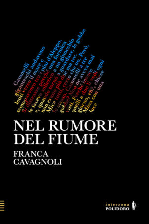 Nel rumore del fiume di Franca Cavagnoli